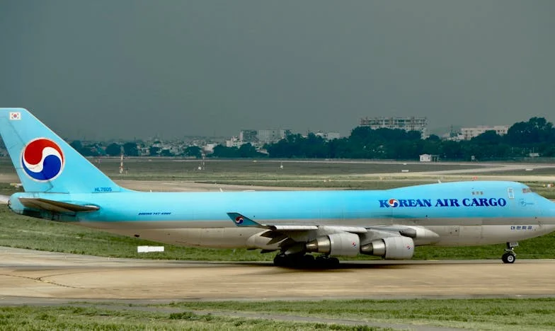 El Regreso de Don Ernesto: Entre la Tierra y el Olvido