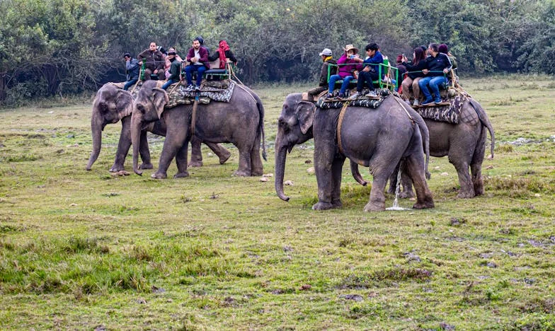 El secreto de Don Ezequiel: Una noche en el parque de Medellín