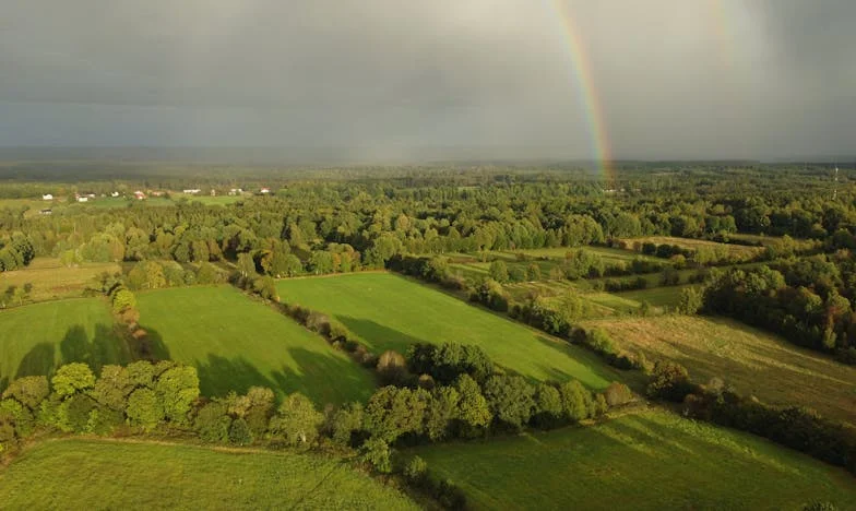 El sexto sentido de Mariana: La historia de una niña que desafió el destino