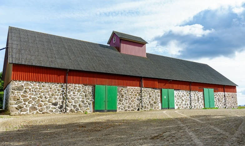 El testamento de mamá: entre el dolor y el perdón