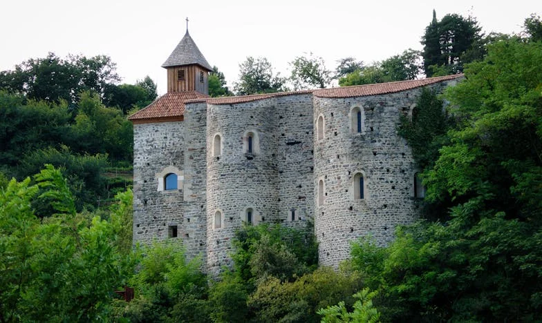 Entre el amor y el abandono: Cuando mi hogar dejó de ser mío