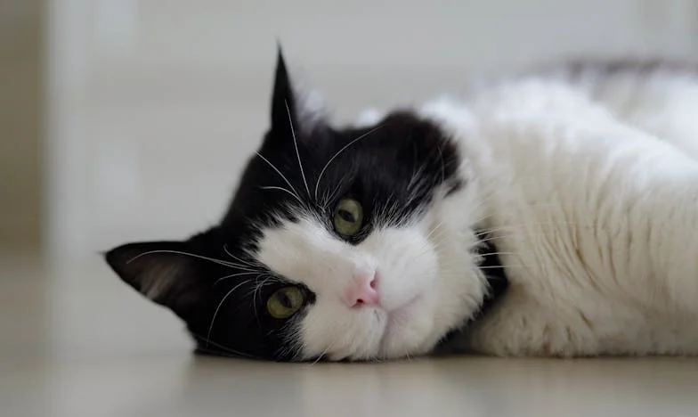 Entre el amor y el orgullo: La historia de cómo intenté salvar a mi hija y perdí mucho más