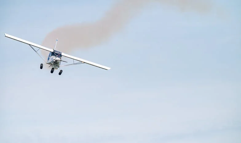 Entre el amor y el silencio: la última visita