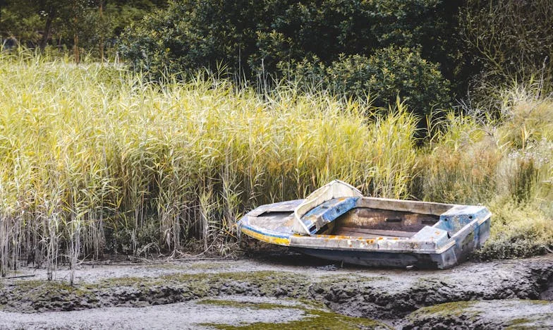 Entre el amor y la culpa: La historia de una madre dividida