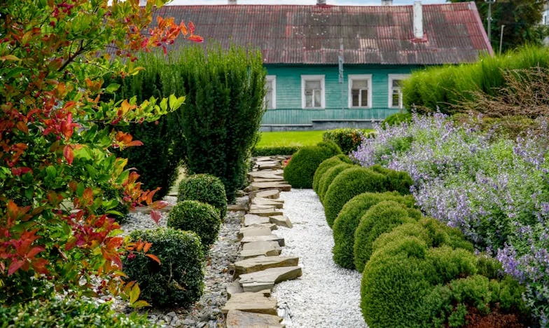 Entre el Amor y la Fe: Mi Camino de Regreso