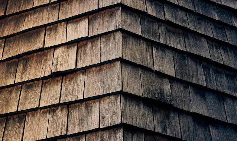 Entre el Silencio y el Amor: El Día que Decidí Conocer al Novio de mi Hija