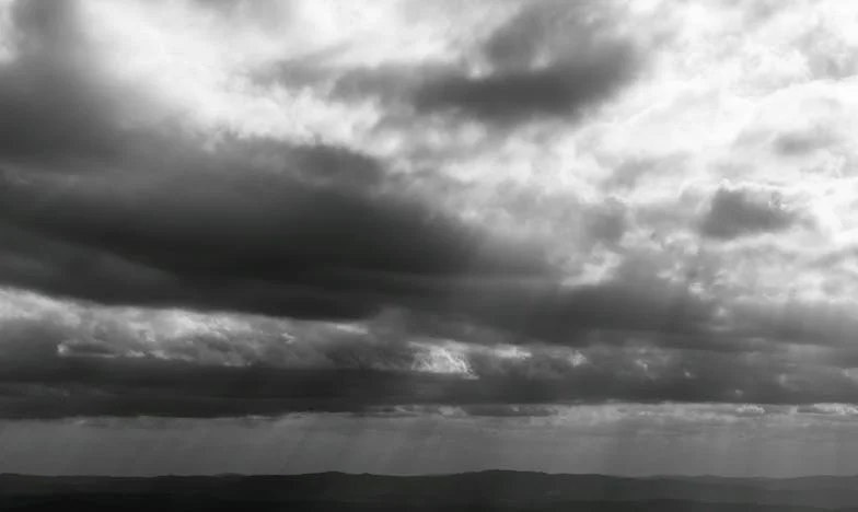 Entre la Sangre y el Amor: Cuando la Familia se Convierte en Jaula