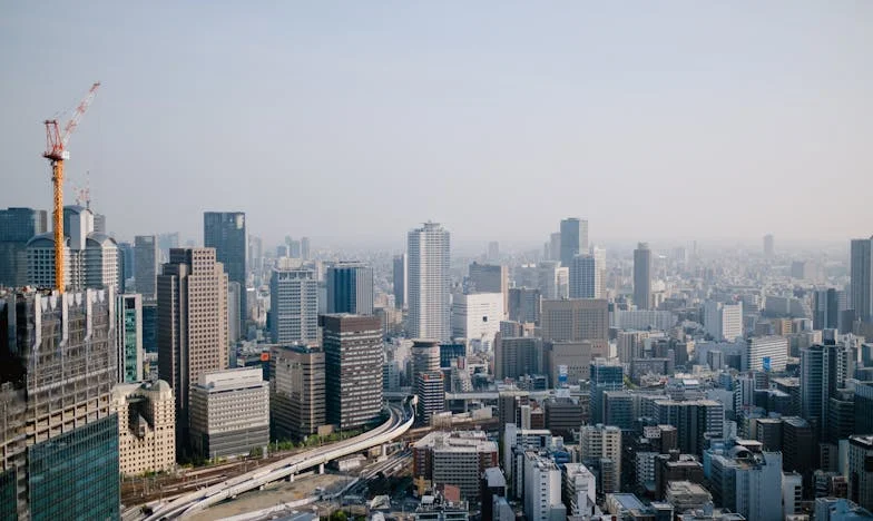 Entre la Sangre y el Futuro: La Decisión que Me Rompe