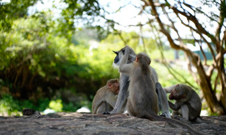 Entre las paredes de mi hogar: la herencia que nunca fue