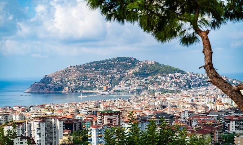 Entre pañales y reproches: El precio de la familia