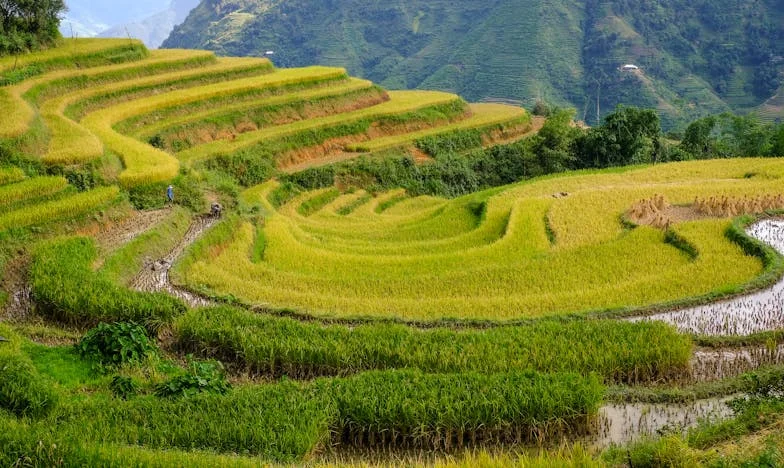 Entre paredes vacías: La lección que me dio la soledad