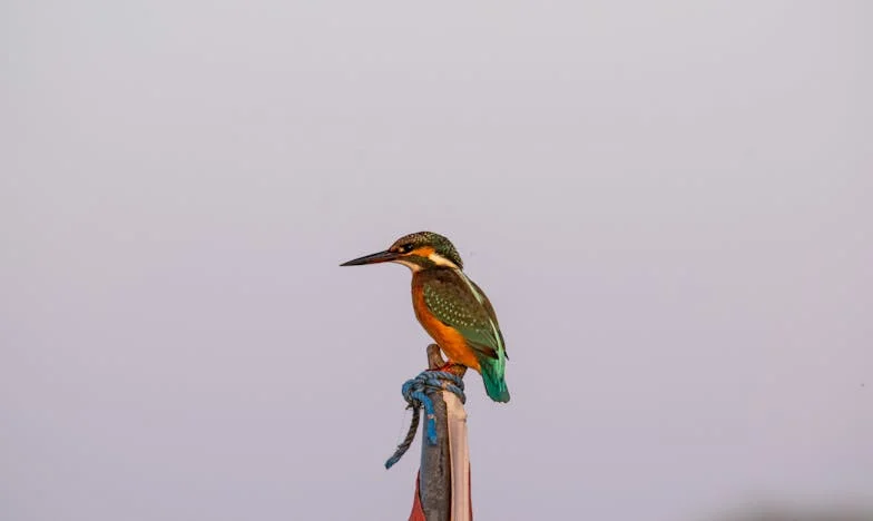 Entre Pasteles y Secretos: El Cumpleaños que Cambió mi Vida