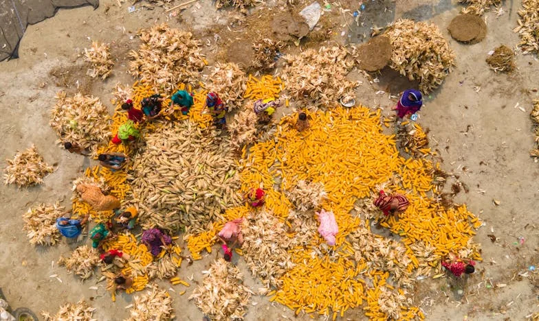 Entre Sombras y Esperanza: Confesiones de Mariana Rodríguez