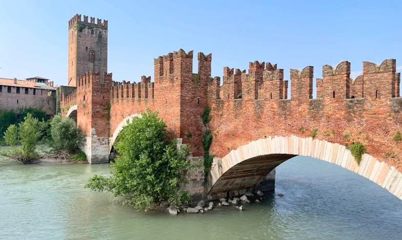 Entre Sombras y Luz: Cómo Logré Escapar del Control de Mi Suegra