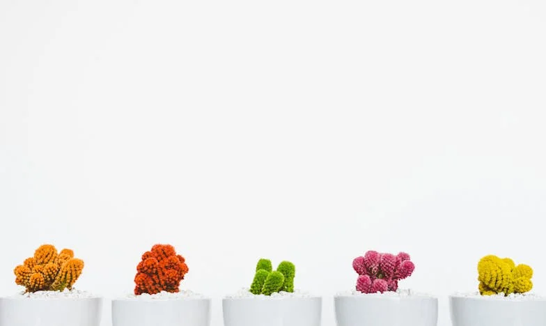 “Es tu culpa por no tener dinero”: Una historia de Mariana en Ciudad de México