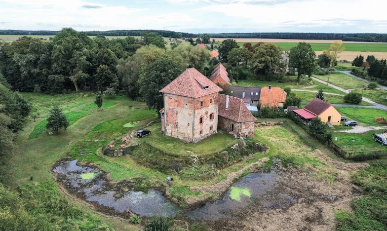 Insomnio y Sabor a Cebolla: Una Noche de Reflexión en la Cocina