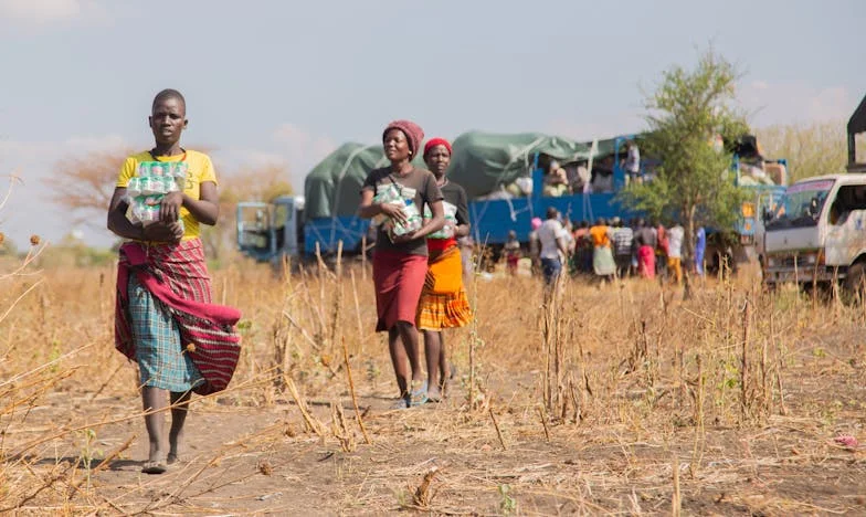 La Casa de la Discordia: Cuando el Amor y el Orgullo Chocan Bajo el Mismo Techo