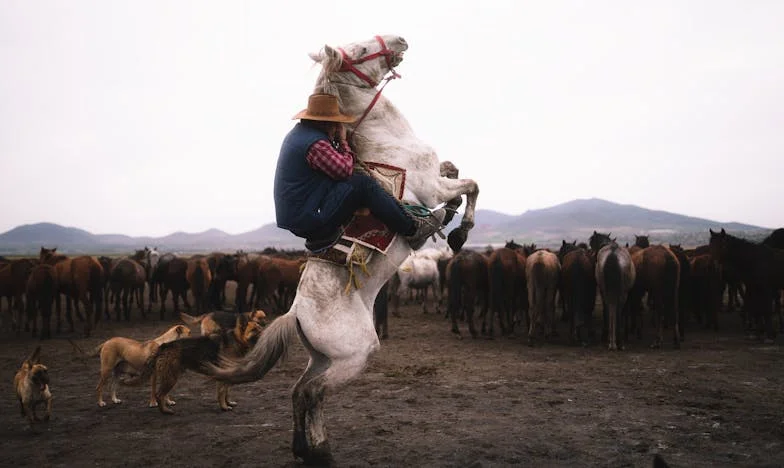 La cosecha de la esperanza: la historia de Don Ezequiel