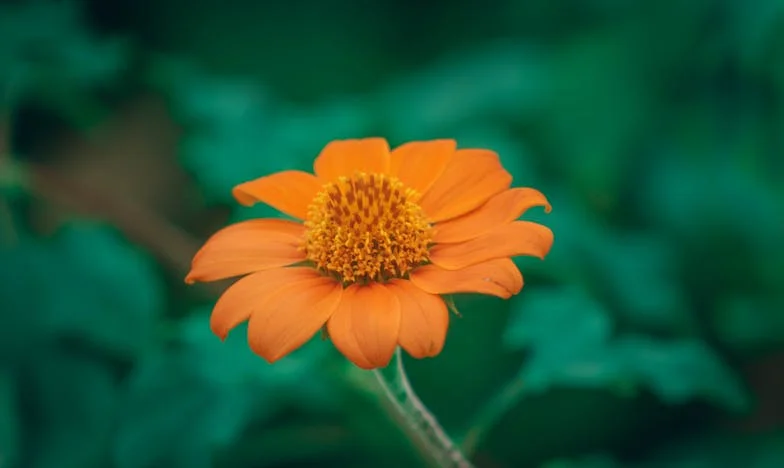 La fiesta de la oficina y el silencio de Julián: Cuando la familia pesa más que el amor propio