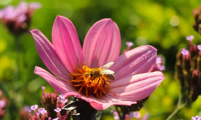 La habitación de la discordia: una lección en familia