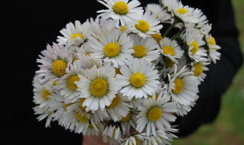 La herencia de los silencios: Cuando la verdad duele, pero también libera