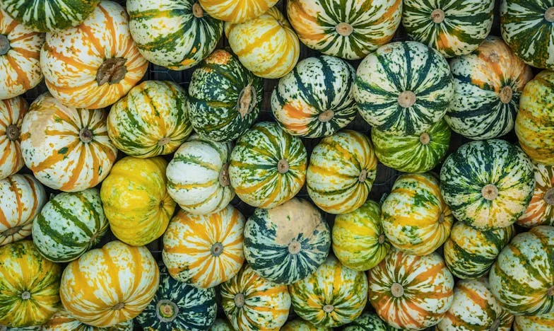 La herencia que rompió mi familia: ¿Por qué eligen a unos sobre otros?