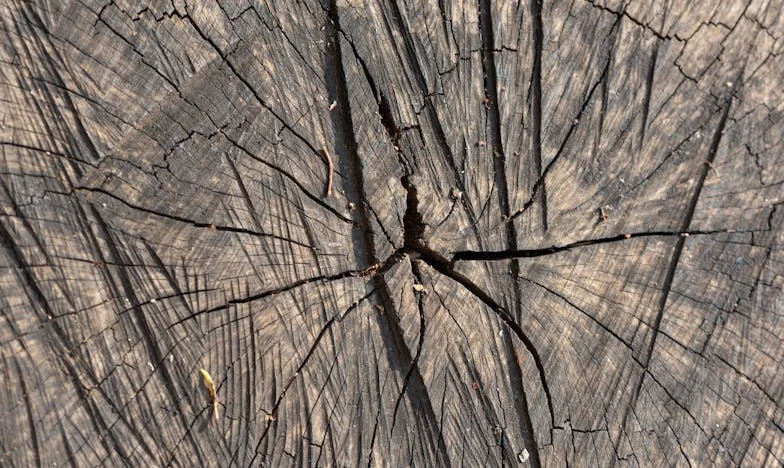 La Lluvia Que Lavó Los Secretos: Una Abuela, Un Nieto y La Verdad Que Nos Rompió