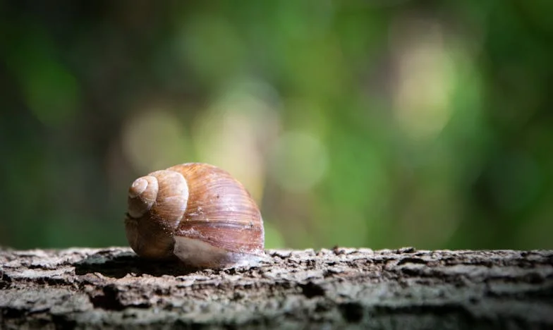 La maleta azul: una familia inesperada