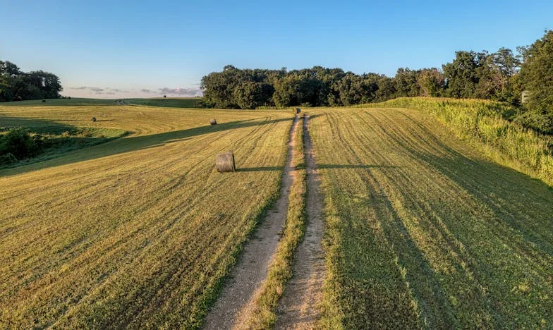 La noche en que mi vida cambió para siempre: El regreso inesperado de mi nieta