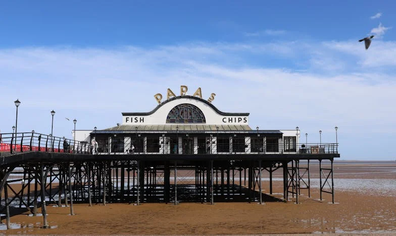 La Sombra de la Preferencia: Una Historia de Dolor y Esperanza