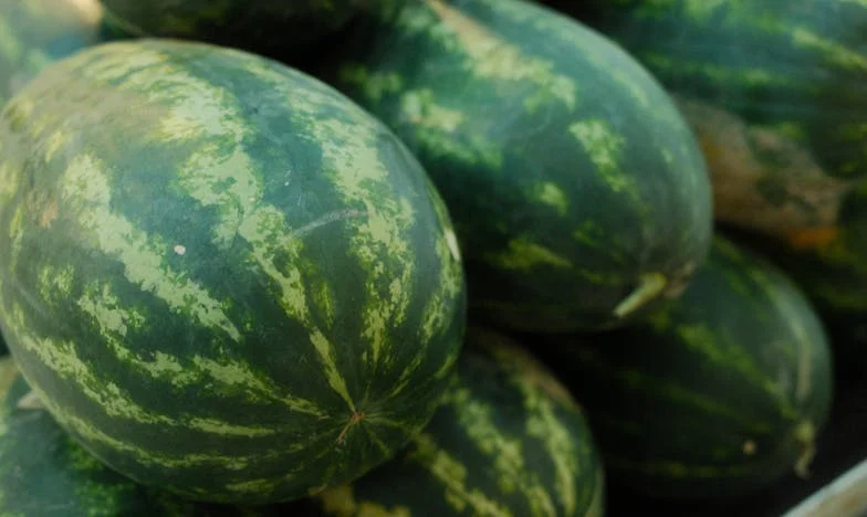 La Sombra en la Puerta: Cuando los Lazos de Familia Aprietan