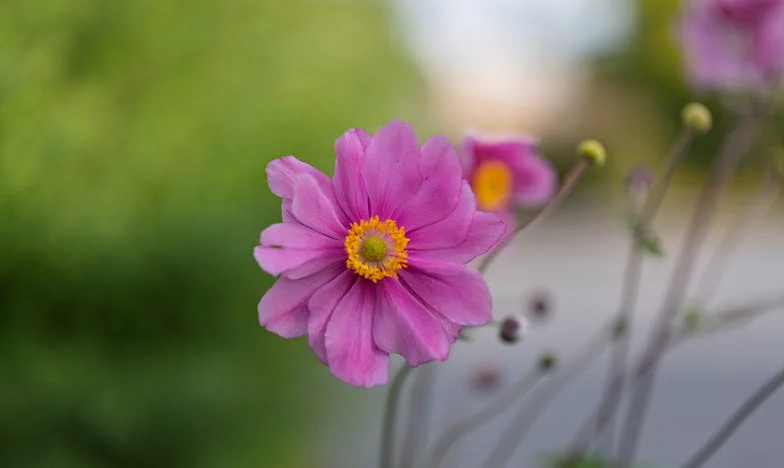 La verdad bajo la piel: El día que supe quién era