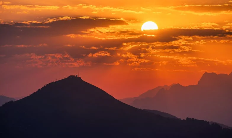 La verdad en la sangre: el secreto que destruyó mi familia