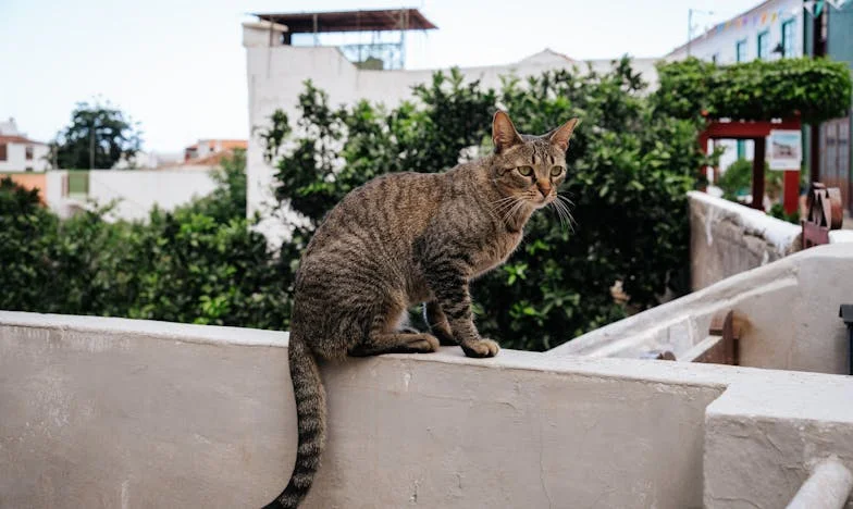 Las llaves de mamá: Cuando el amor de una madre amenaza mi matrimonio