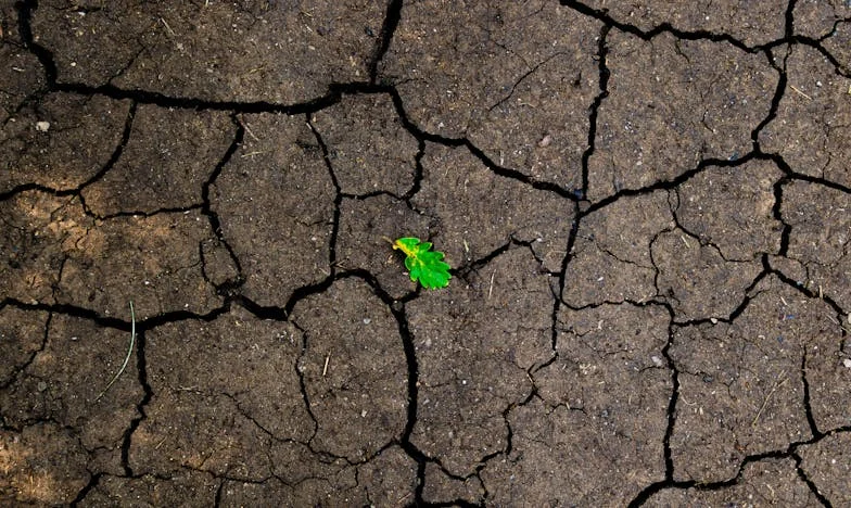 Las palabras de mi madre cambiaron mi destino