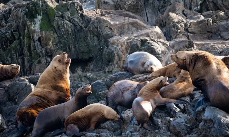 Los lazos invisibles: Entre la esperanza y el desencanto