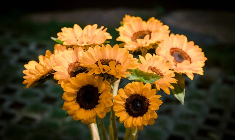 Me Duele Tanto: Mis Padres Solo Me Usaron