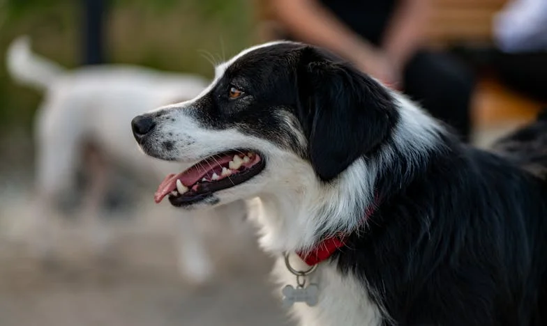 Mi madre vendió la casa a mis espaldas: la traición que nunca imaginé