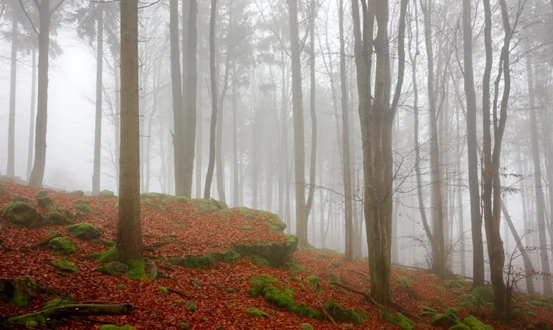 Mudanza para salvar mi matrimonio: Cuando mi madre casi destruye mi familia