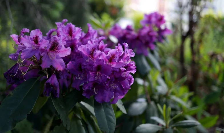 No Quiero Que Mi Nieto Venga a la Reunión Familiar: Un Grito Silencioso en la Mesa