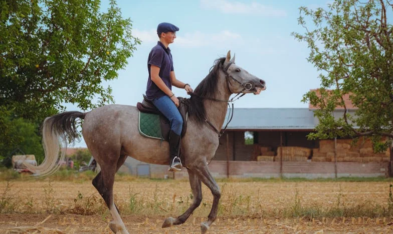 Padre al límite: Una noche, una decisión