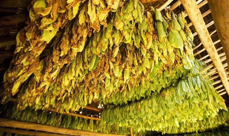 Por fin decidí dejar que mi hijo creciera: una historia de amor, miedo y libertad