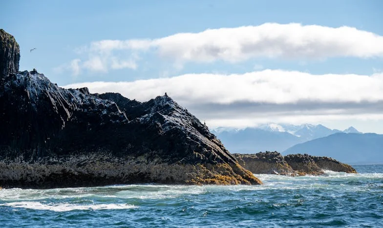 Promesa bajo las luces de la boda: ¿Sacrificio de madre o traición?