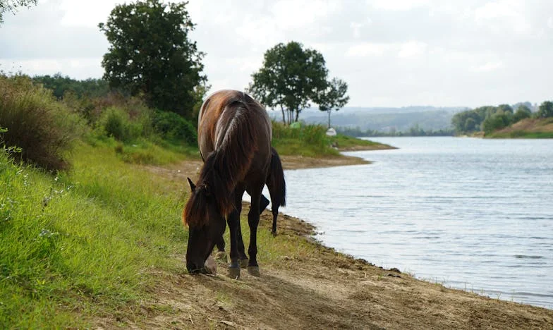 Renuncia si me amas: El precio de mi libertad
