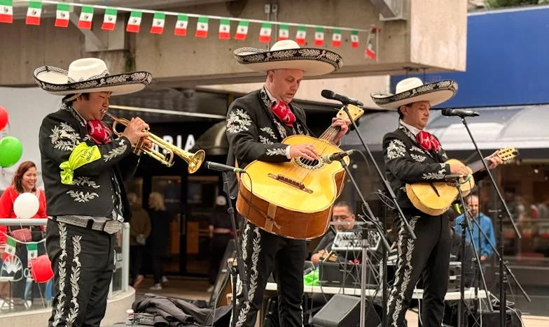 Un Paseo Bajo la Lluvia: El Día que Todo Cambió
