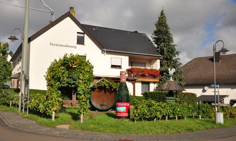 Cinco años en la sombra: El grito de una madre mexicana tras la desaparición de su hija