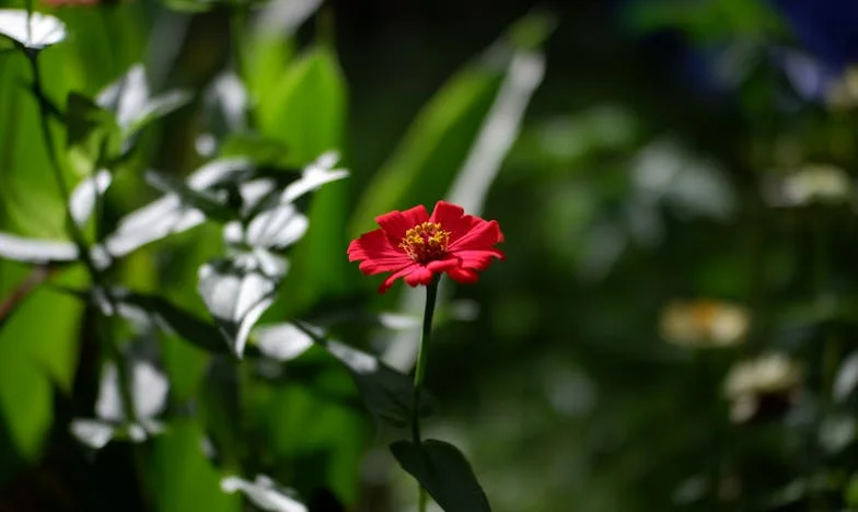 Con un solo bolso y mis hijos: La noche en que volví a nacer