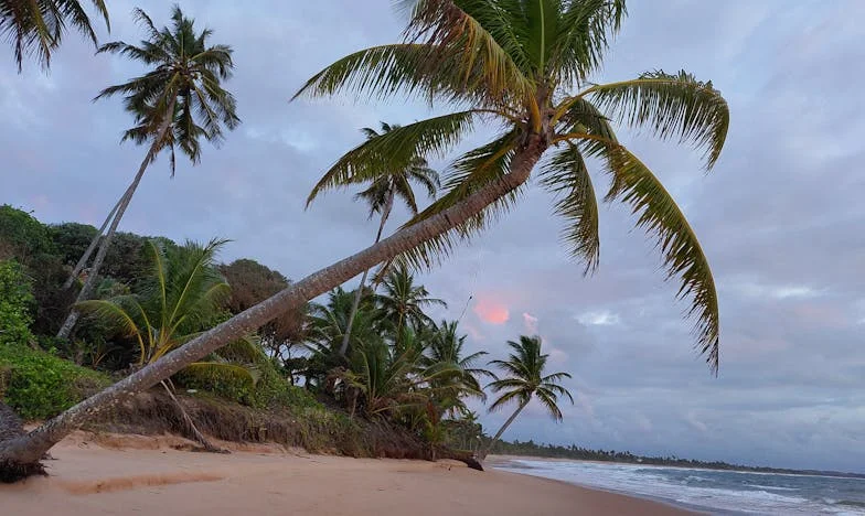 Cuando el Ahorro se Convierte en Prisión: La Historia de Roberto y Elena