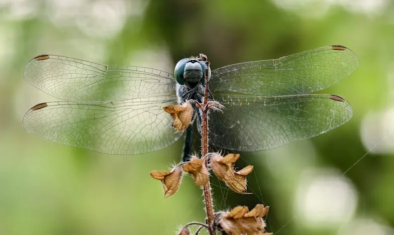 Cuando el hogar se vuelve ajeno: Confesión de una madre mexicana en el extranjero