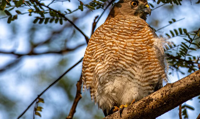 Cuando Julián Cerró la Puerta: El Día que Mi Mundo se Derrumbó